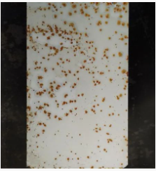 Ϳ���÷��W�P������Щ�N�����οƌWʹ���� Ϳ���ھ�,coatingol.com