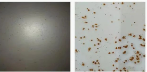 Ϳ���÷��W�P������Щ�N�����οƌWʹ�ã� Ϳ���ھ�,coatingol.com